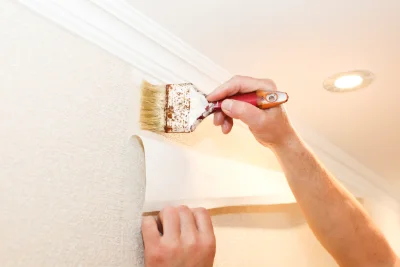 Pose de papier peint à Leschaux — revêtements muraux et toiles de verre